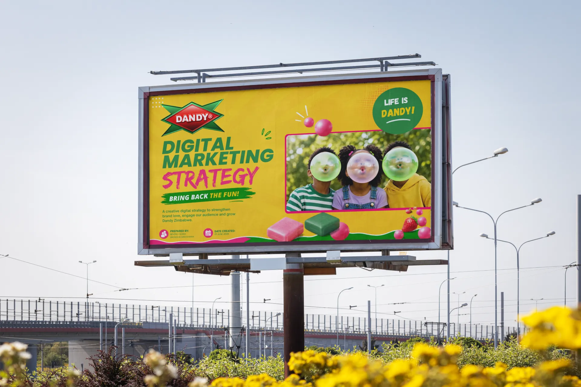 Dandy ZW Campaign marketing campaign